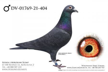 DV-01769-21-404 - (oryg. Drapa) linia złotego medalisty olimpijskiego E.T oraz słynnego Pokerface