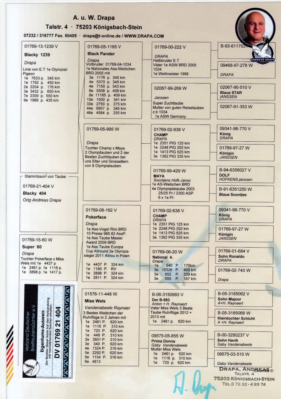 DV-01769-21-404 - (oryg. Drapa) linia złotego medalisty