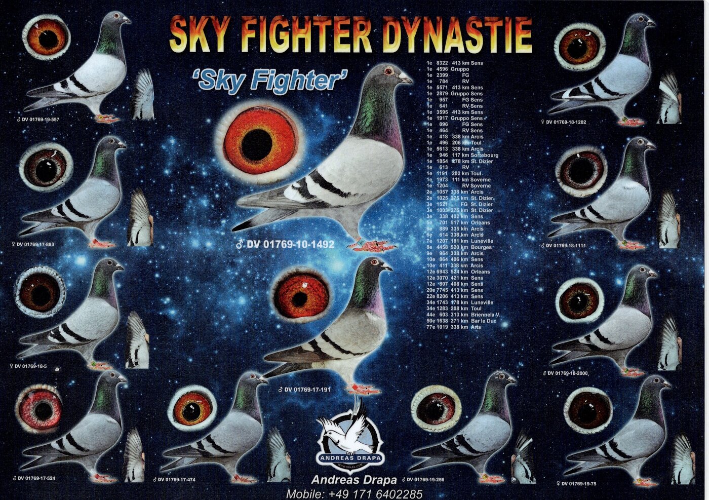 DV-01769-21-404 - (oryg. Drapa) linia złotego medalisty