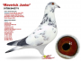 DV-01769-24-937 oryg. A&W Drapa - Syn MAVERICK 9x1konkurs