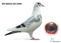 DV-02023-525-3450 Macel Wouters 