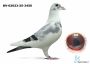 DV-02023-525-3450 Marcel Wouters 