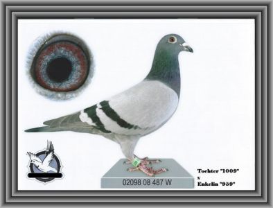 DV-02098-08-487- Unikat oryginał Gunter  Prange