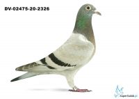 DV-02475-20-2326