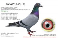 DV-02522-17-122