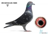 DV-02733-25-1885 - 5 lotnik WG-Familie Soellner