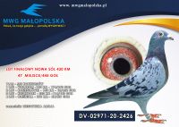 DV 02971 20 2426 - CIEGOWSKA ALICJA - FINAŁ - 47m 11 ASLOTNIK 5/5 KONKURSÓW !!!! 10m - 2 lot konkursowy pod wiatr !!! równe konkursy !!!!!
