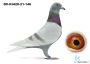 DV-03428-21-146 - wnuk 520 Gunter Prange