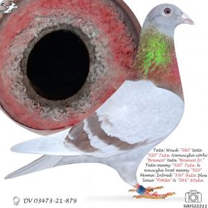 DV-03473-21-879 Linia 
