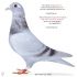 DV-03473-21-879 Linia 