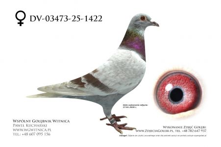 DV-03473-25-1422: Team Frydziu-Mateusz