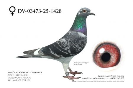 DV-03473-25-1428: Team Frydziu-Mateusz, 68. Lotnik, m in 48m z FINAŁU