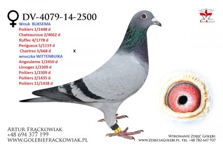 DV-04079-14-2500 - 100% Gaby Vandenabeele - linia Bliksema i Wittenbuik 112