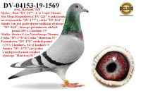 DV-04153-19-1569 Wnuczka 2 Mega Rozpłodowców 