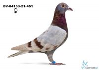 DV-04153-25-451  - TOP !!!