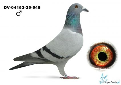 DV-04153-25-548  - 31 z finału -  Hartmut Will