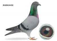 DV-04543-24-532-Dirk van den BulckXPrange - SAMIEC