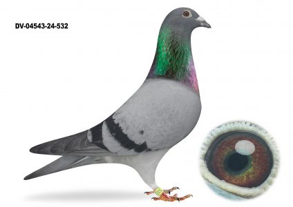 DV-04543-24-532-Dirk van den BulckXPrange - SAMIEC