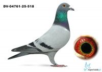 DV-04761-25-518 wnuk DE GUS 