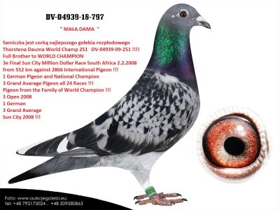DV-04939-18-797 oryg Thorsten Daum + GRATIS DV-03582-11-851 ojciec Olimpijczyka od zawsze para była razem