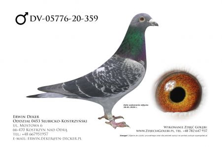 DV-05776-20-359 - samiec