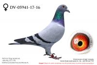 DV-05941-17-16 - samiczka