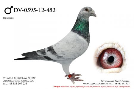 DV-0595-12-482- samczyk