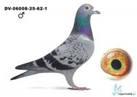 DV-06008-25-62