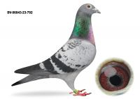 DV-06043-23-792-Prange