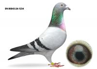 DV-06043-24-1234-PrangeXDirk van den Bulck