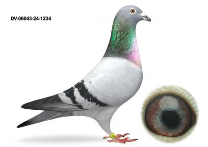 DV-06043-24-1234-PrangeXDirk van den Bulck