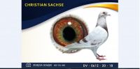 DV 0612 20 18 *** ROTE AS 217 ***