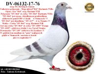 DV-06132-17-76   Podwójny wnuk słynnego 