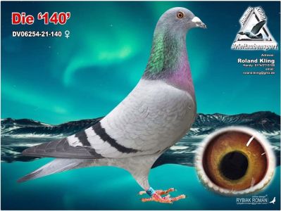 DV-06254-21-140 - SYN POKERFACE x CÓRKA  SKY FIGHTER