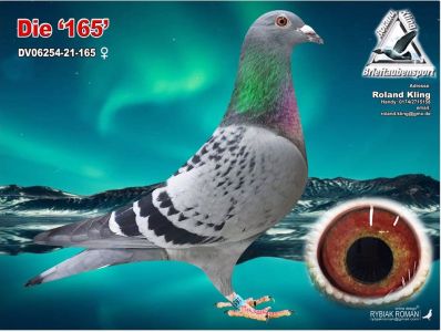 DV-06254-21-165 - CÓRKA  POKERFACE x SYN YOUNG SUPER CRACK