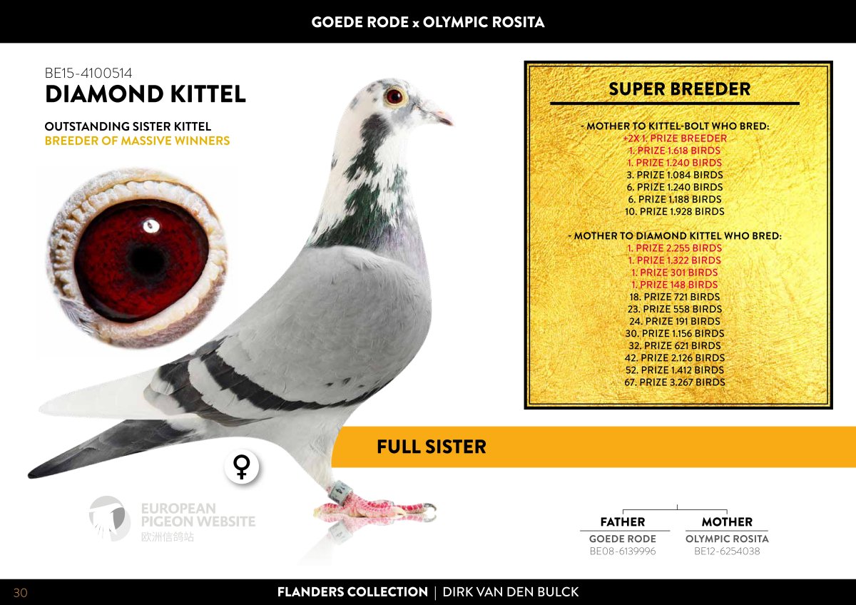 DV-06254-21-199 Dirk van den Bulck X Leo Heremans super