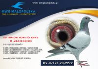 DV 07196 20 2272 DR. TARGATZ ANGELA - 6 AS LOTNIK !!! 5/5konkursów!!! FINAŁ - 21m, 4 konk - 54m, 1 konk. - 12m, RÓWNE KONKURSY!!!!!!