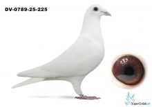 DV-0789-25-225 - Extreem Den Ad  Wouters