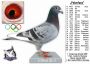 DV-07911-15-116-DRAPA WNUK POKERFACE x RIHANNA