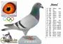 DV-07911-15-116-DRAPA WNUK POKERFACE x RIHANNA