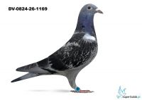 DV-0824-26-1169 - linia Hurrican