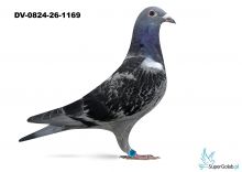 DV-0824-26-1169 - linia Hurrican