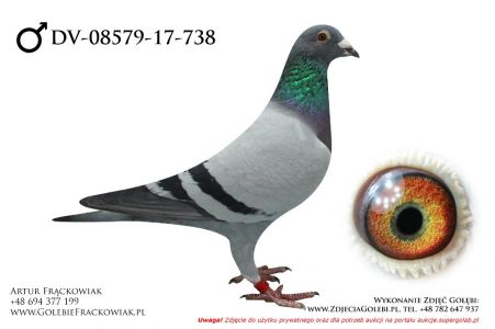 DV-08579-17-738 - Gert Rondags x Paul Huls - linia Den Tom 16x1k