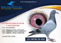 DV 08780 20 434 Klein Tadeusz ORYGINAŁ HARTMUT WILL !!!! 2m - FINAŁ !!!!! 81 AS LOTNIK,