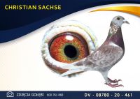 DV 08780 20 461 *** HARTMUT WILL Syn 178 ***