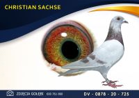 DV 08780 20 725 ***