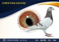 DV 08780 20 744 ***