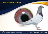 DV 08780 20 754 *** 185 *** x *** 864 *** - HARTMUT WILL - Oryginał - SACHSE CHRISTIAN -