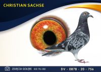 DV 08780 20 756 *** Mocny imbred na ***