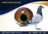 DV 08780 20 759 *** Mocny imbred na ***